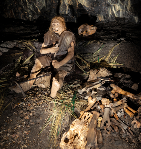 Neanderthal Extinction: Reassessing Our Outcompeted Relatives ...