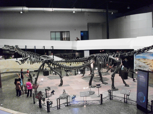 Dinosaur Fossil museum