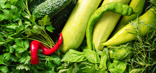 Fresh organic green vegetables background. Banner. Vegan food concept. Top view