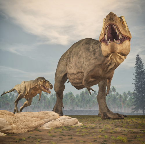 Two dinosaurs - tyrannosaurus rex. This is a 3d render illustration