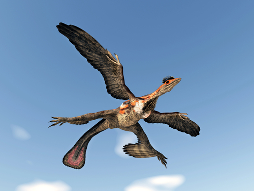 The feathered Dinosaur Microraptor