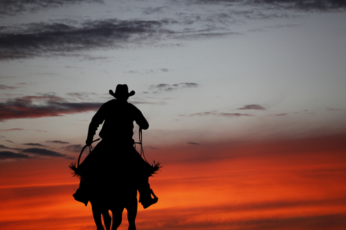 Cowboy on a horse