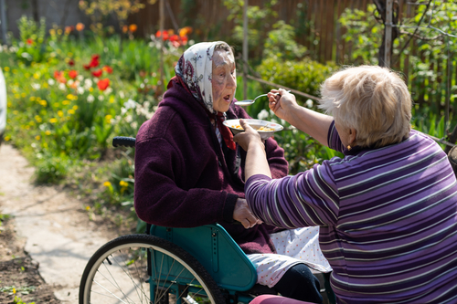 Elderly eighty plus year old woman in a wheel chair being fed in a home setting
