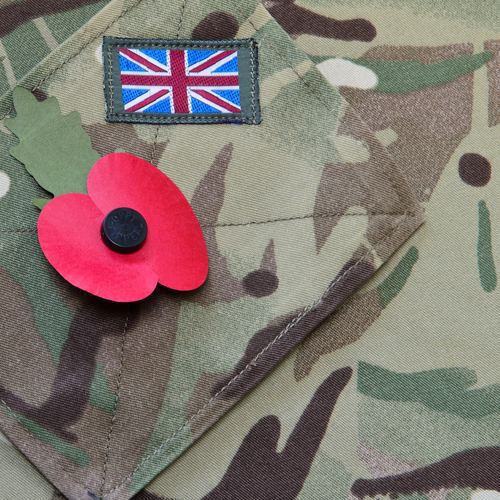 Remembrance day poppy appeal