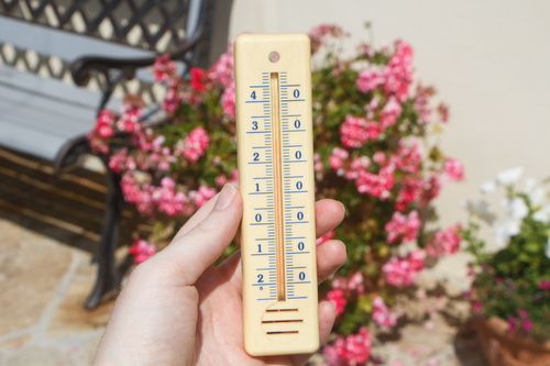 Thermometer in a garden
