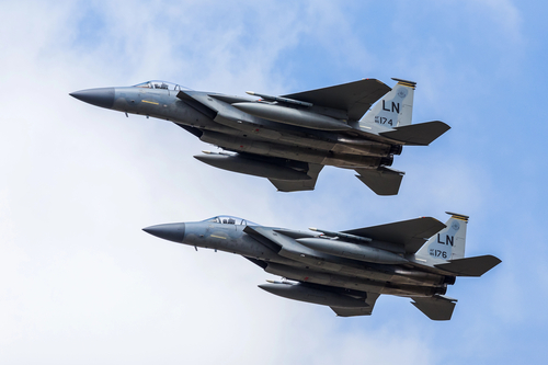 USAF F-15C Eagle pair